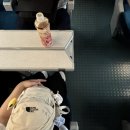 우리 동네 나들이 다같이 줍깅 | [전라도 광주 당일치기] 광주 2025 현대세계양궁선수권대회 관람 후기