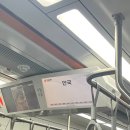 우람동물병원 | 쉬었음➡️쉬었었음 청년이 되.