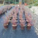 요한이네농장 이미지