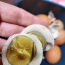 자연같이 팜 이미지