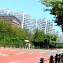 동백바둑 이미지