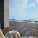 남당항 해양분수공원 이미지