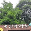 백운각 | 용인 가볼만한곳 한택식물원 관람 후기