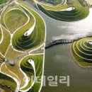 어제의정원