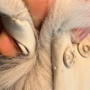 대원세탁소 이미지