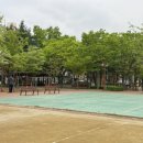 단양배드민턴장 이미지