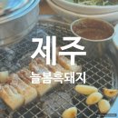 노형늘봄 | [제주] 🐷늘봄흑돼지🐷 — 블루리본인증집! 🦋 내돈내산. 솔직후기