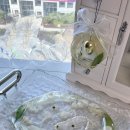 바이란(BYRAN)