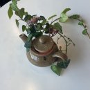 손빚 이미지