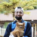 엔젤독스애견 | 블루엔젤봉사단 22기 코리안독스KDS 레인보우쉼터 봉사활동 후기