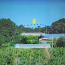 예천공인중개사사무소 이미지