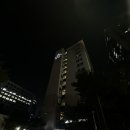 호텔 아트리움 | 종로 호텔 아트리움 후기 ::) 내돈내산