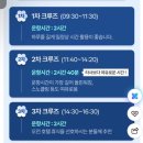 [괌 태교여행] 2일차｜에그앤띵스, 돌핀크루즈 2차, 햄브로스, 마크몰, K마트