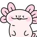 터치스토리 이미지