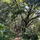 수촌경로당 이미지