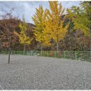 더좋은펜션캠핑장 이미지