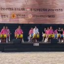 홍도야울지마라 이미지