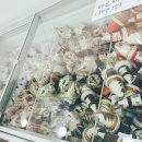 담아담아아이스크림할인점 - 중랑구 동일로169길 17 | 담아담아아이스크림할인점