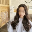 지예스샬롱 이미지