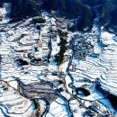 사포마을 이미지