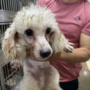 박영재 동물병원 이미지