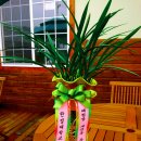 미림목장 이미지