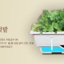 화분들닷컴 네이버블로그