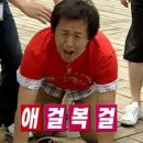 터미널반점 이미지