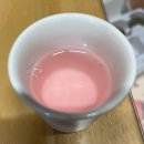 경주 체리 이미지