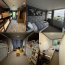 누리호스텔 | 뉴질랜드 여행 - 1인 숙소 찾고 있다면 여기!!