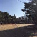 장흥수림원 이미지