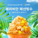 캐리비안 이미지