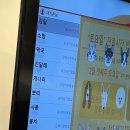 개나리 멍멍 | [집사일기] 내동생 진달래, 잠복고환 수술 끝났습니다. 고양이 잠복고환 후기