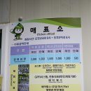 맹종죽테마공원 이미지