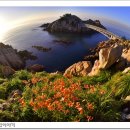 개승목장 이미지