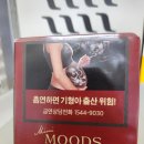 롤링타바코 매니아
