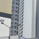 석사경희 단샘 태권도장 이미지