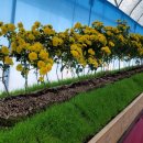 BEST 행정사 사무소 이미지