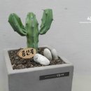 용신목장 네이버블로그