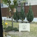 매곡2로L | 울산 북구 브런치카페, 아기랑 가기 좋은 매곡 브런치카페 '내음'