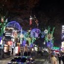 로데오상점가 이미지