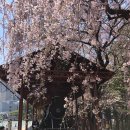 삼무공원 이미지