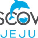 제주해양레저사계 네이버블로그