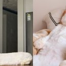 이쁜냥이 이미지