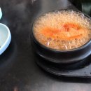 녹조식당 이미지