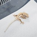 시리미농장 이미지