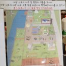 복만네 | [대구근교/칠곡 아기랑 가볼만한곳] 미니동물원이 있는 카페 복만네