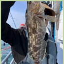 킹콩쭈꾸미 이미지