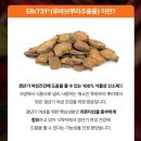 솔로라서 사강 영양제 7회/‘ER HANA 이알하나/’ 갱년기 영양제 내돈내산