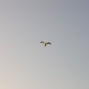 동이수산 이미지